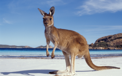 10 Destinations to Visit in Australia on a private jet!