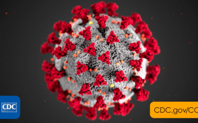 Coronavirus Travel Restrictions: How COVID-19 is Affecting Travel